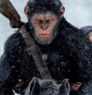 ��������� ����� ����� �������� �������� ����� ������ ������ ��������