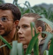 ������ ������ ���� ������� �������: ����������� ���������� ���������