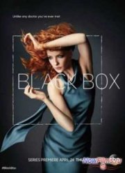 Чёрный ящик (2014)