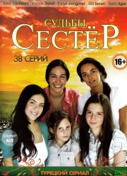 Судьбы сестер / Маленькие женщины (2008)