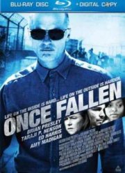 Единожды падший (2010)