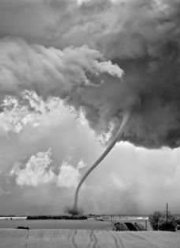 ����� ������� ����� (2014) ����� �����?