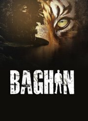 ����� (2024)