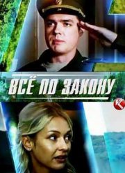 Страж закона / Все по закону (2016)