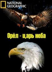 Орел - царь неба (2014)