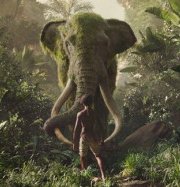 ������� ������ �������: ��� ��� �� ������ ��������