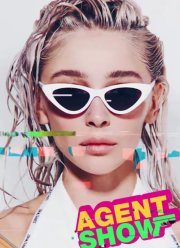 Агент Шоу 3.0 (2023)