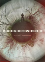 �������� (2022)