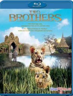 Два брата (2004)
