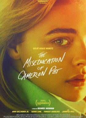 Неправильное воспитание Кэмерон Пост (2018)
