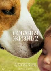 Собачья жизнь 2 (2019)