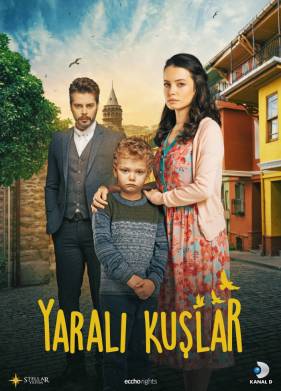 Раненые птицы ( 2019)