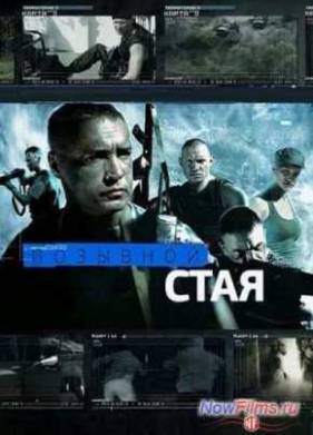 Позывной «Стая» (2013)