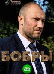 Бобры (2018)
