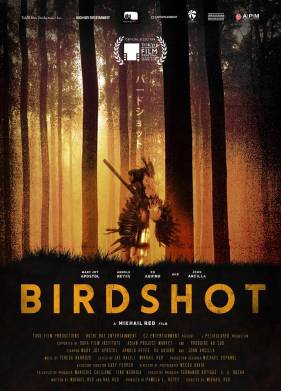 Дробь (2016)