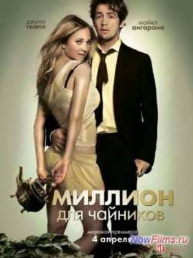 Миллион для чайников (2013)