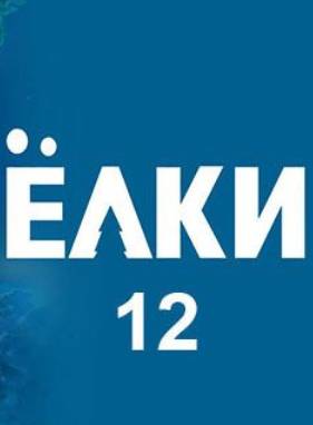  12 (2025)