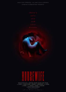 Домохозяйка (2017)
