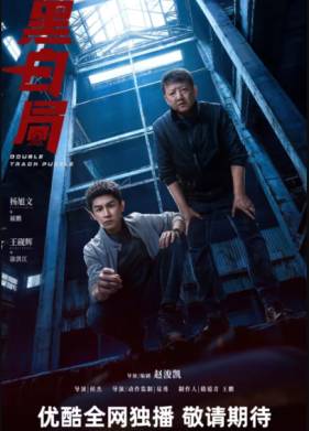 Развилка к правде / Игра в черное и белое (2025)