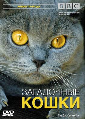 BBC: Загадочные кошки (2002)